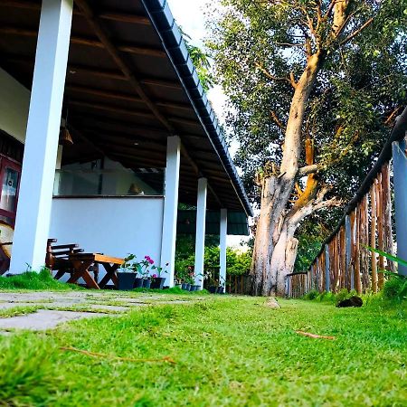 Rainbow Sky Cottage Ела Екстериор снимка