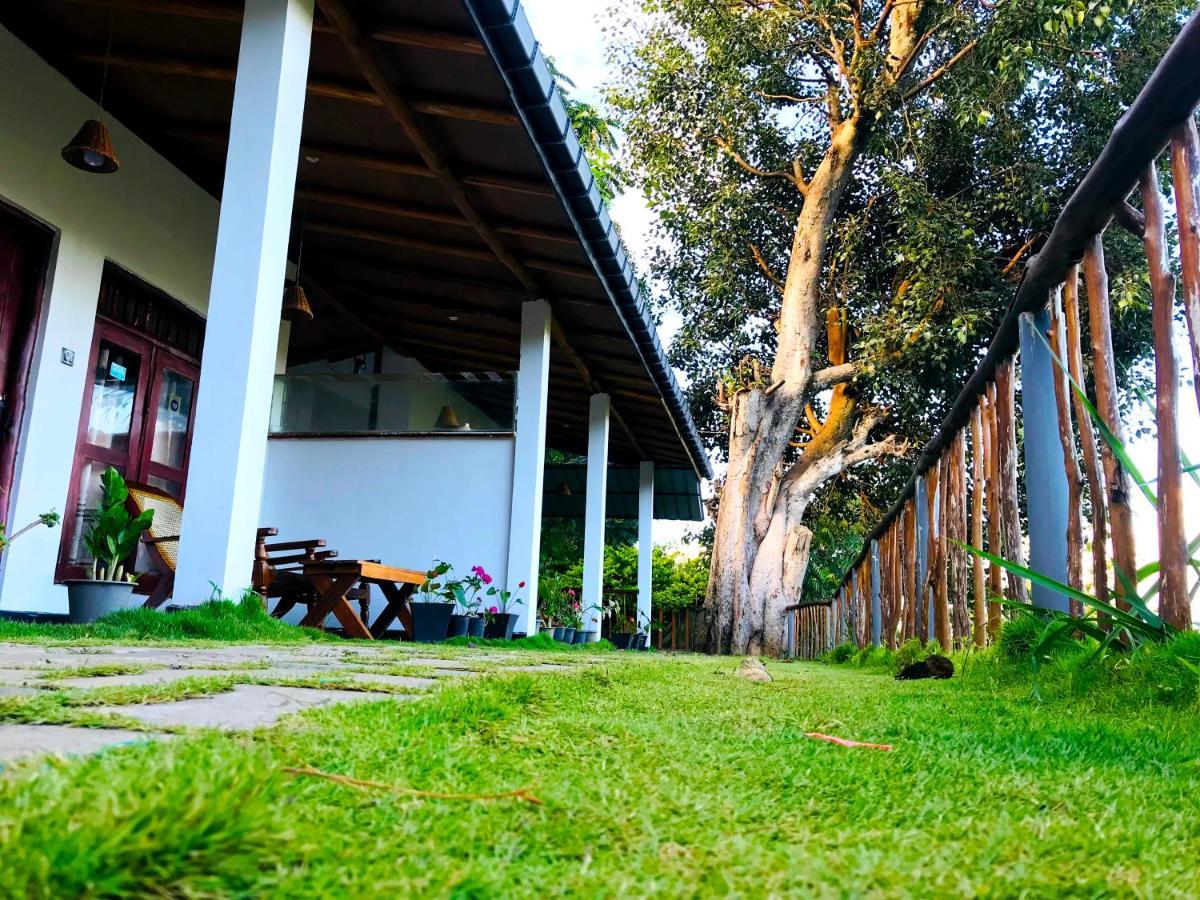 Rainbow Sky Cottage Ела Екстериор снимка