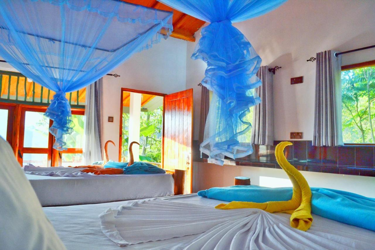 Rainbow Sky Cottage Ела Екстериор снимка